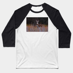 A regal stance - White-tailed Deer Baseball T-Shirt